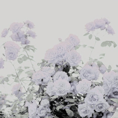 elisabethdarcys:jane austen novels [5/6] » persuasionwhen pain is over, the remembrance o