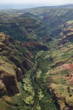 invocado:  Kauai | by “Cargo Cult on Flickr”