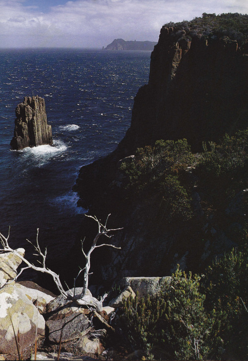 The massive rock pillar called The Monument, Cape Hauy, Discover Australia’s National Parks &a