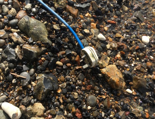 Plug and cable. Found on Enderby House beach, Greenwich.