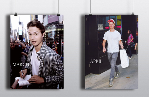 precious-michael:  -Ansel Elgort-   What a great year