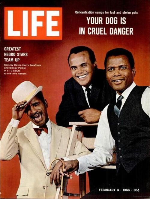 twixnmix:
“ Sammy Davis Jr., Harry Belafonte, and Sidney Poitier photographed by Philippe Halsman for LIFE magazine, 1966.
”