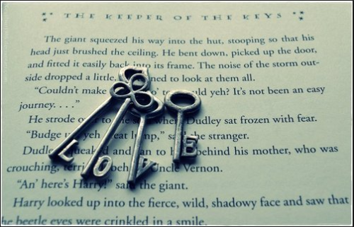 rukmanirocks:  The Keeper Of The Keys ~ Hagrid 