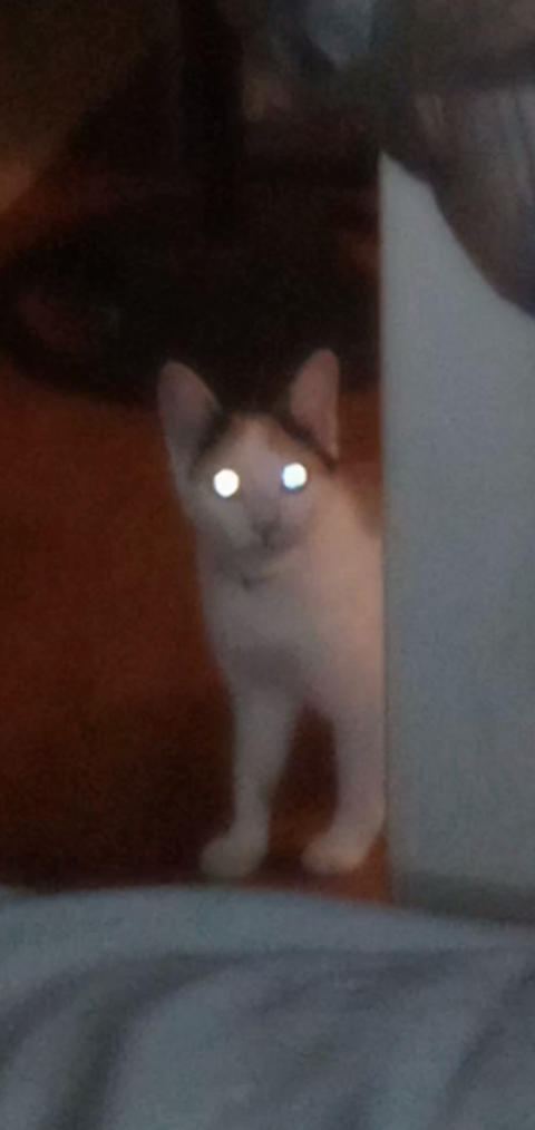 Shes Watching 