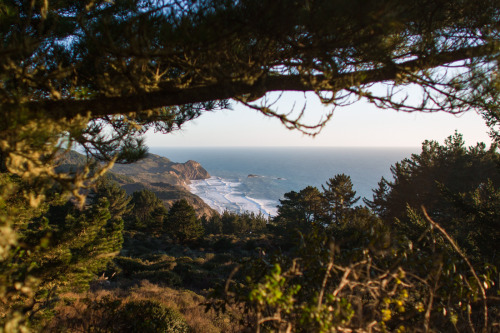 POINT REYES: WILDCAT CAMPGROUNDSimply beautiful! It can be difficult to reserve a spot here on the w