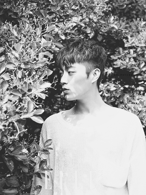 비스트