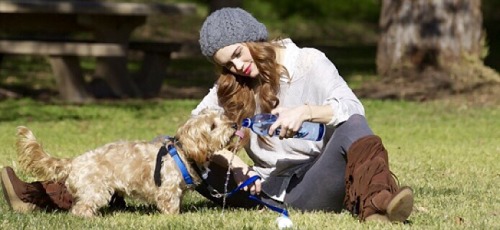 Oh Look, Its Mom And Dad + Animals.