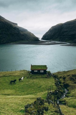 alecsgrg:Saksun, Faroe Islands | ( by Niklas ) 