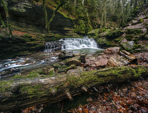 Black Forest Revisited by Naturfotografie - Stefan Betz on Flickr.