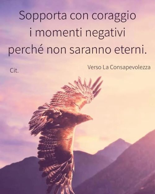 Quando arriva una tempesta, tutti gli uccelli corrono ai ripari.
Tranne l'aquila, che invece sceglie di volare sopra la tempesta.
Quando la vita si fa tempestosa, possa il tuo Cuore volare alto come...