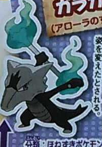 cacnea:“Alolan Meowth developed after being bred by the royal family of Alola.”“Alolan Marowak devel