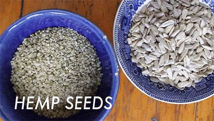 beautifulpicturesofhealthyfood:  How to Make Nut Milk…RECIPE  NUT MILK!