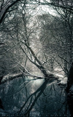 sapphire1707:  sleeping river | by SebastianEndert | http://ift.tt/1JphXxK