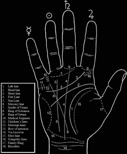 chaosophia218:  Top 10 Lines in Palmistry. Palmistry is an art of reading the hands. It is believed that everyone in this world has a destiny, which can be determined by analyzing the lines, rings and mounts on one’s hand. Out of these, lines and rings