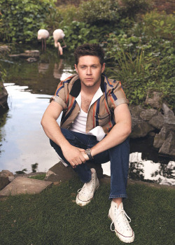 dailyniall: Niall for Notion Magazine