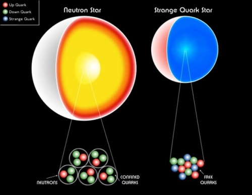 Quark starA quark star is a hypothetical type of compact exotic star, where extremely high temperatu