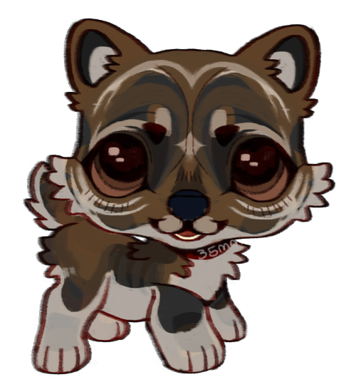One Of My Wolvden Wolves As A LPS.