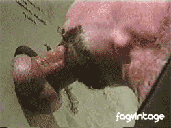 servicebear:  42,000 COCK HUNGRY FOLLOWERS…YOU GUYS RULE!  To the gifted artists,