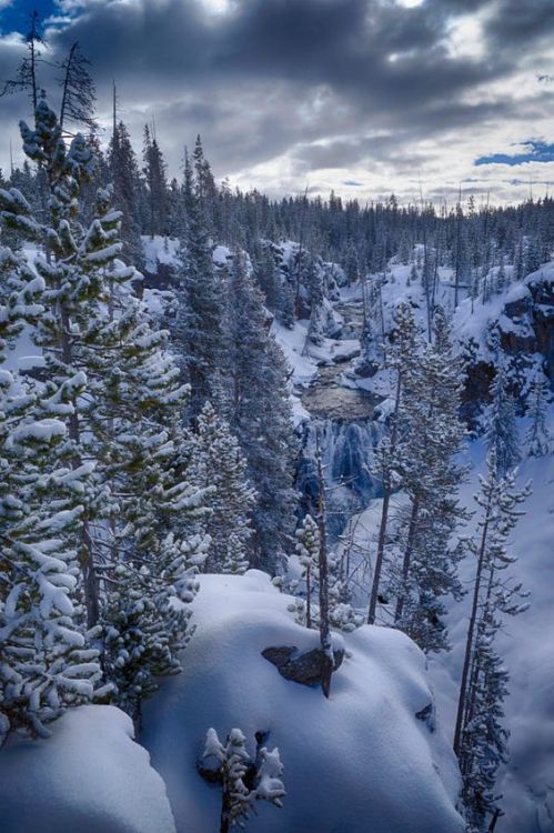 Winter Cascade by Phillip Esce