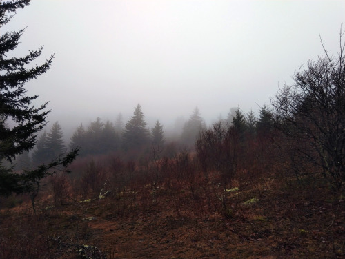 Grayson Highlands State Park on a cloudy day, December 2019