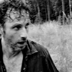 fuckyeahrickyl:  Rick Grimes and Daryl Dixon - Through the Seasons 