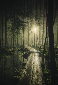 my-little-0cean:   Pathway  Mikko Lagerstedt 