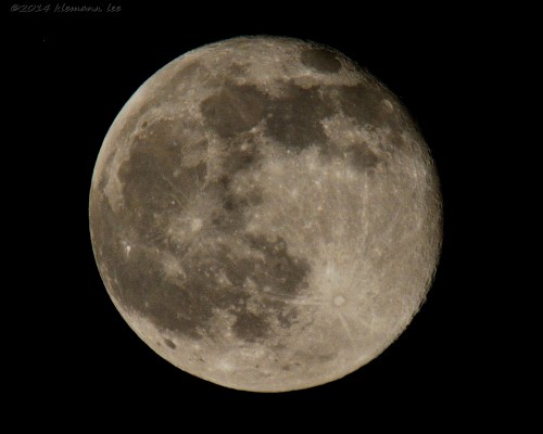 klemannlee:  Friday the 13th Moon. 