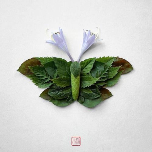 pr1nceshawn:Natura Insects – The delicate floral compositions by Raku Inoue.