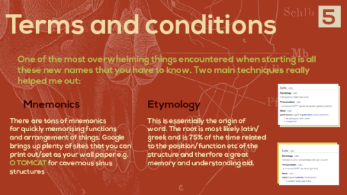 soumal:Here are some Anatomy tips for all of you working in/towards hands-on healthcare. I hope they