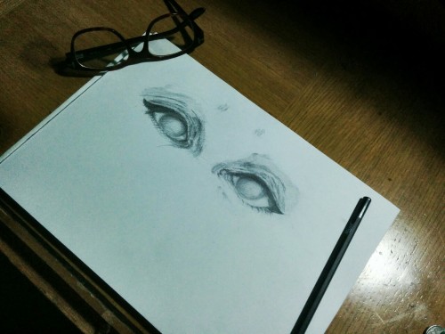 ouieer:  Eyes.