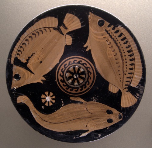 Apulian red-figure dish depicting fish.  Artist of the Group of Karlsruhe 66-140; ca. 350-325 BCE.  