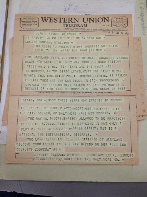 There Were Almost Freedom Rides In Maryland In The Fall Of 1961.