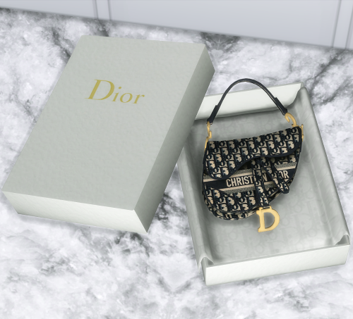 D I O R  Saddle bag in box!DOWNLOAD (Patreon)***More swatches still to come!****All meshes are 