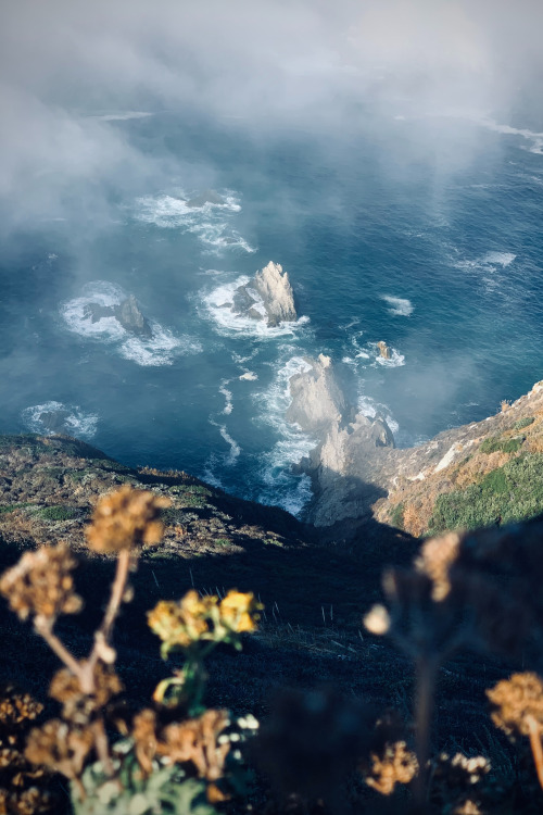 expressions-of-nature:  Big Sur, CA by Francisco