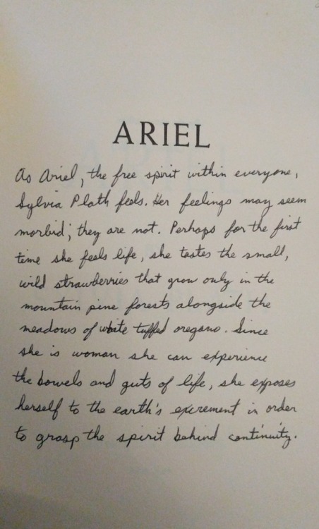 the most poetic inscription in this copy of ariel by sylvia plath that I bought the other day