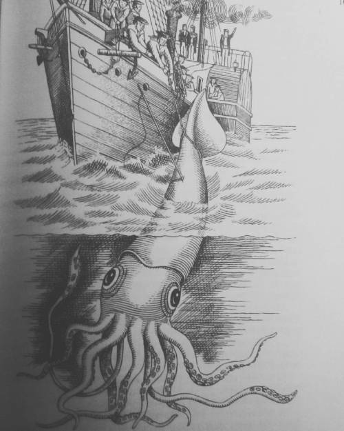 #oldbookillustration #engraving #seamonsters #giantsquid