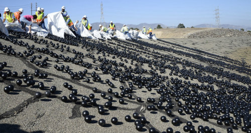 Porn Pics huffingtonpost:  Millions Of ‘Shade Balls’