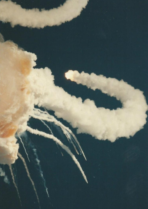 Porn photo humanoidhistory: The Challenger disaster,