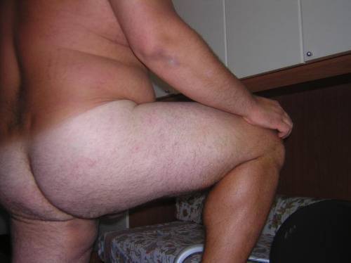 nastybears:  I wanna lick this nasty bears porn pictures