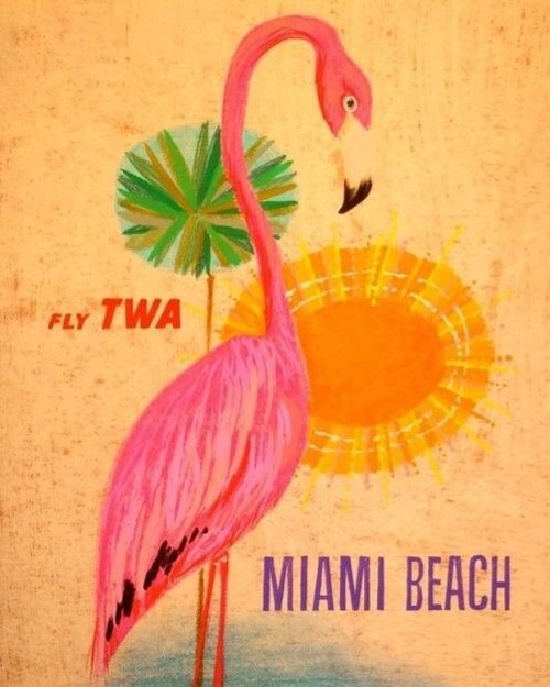 When I fly, I always fly flamingo… #duh #vintagead #flamingo #followme @gingersnapsnyc (at Ne