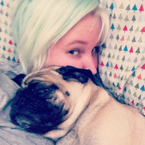 When your pug says “Snuggle me! Snuggle me now!!!” #pug #puglife #pugmomo #pugsofinstagr