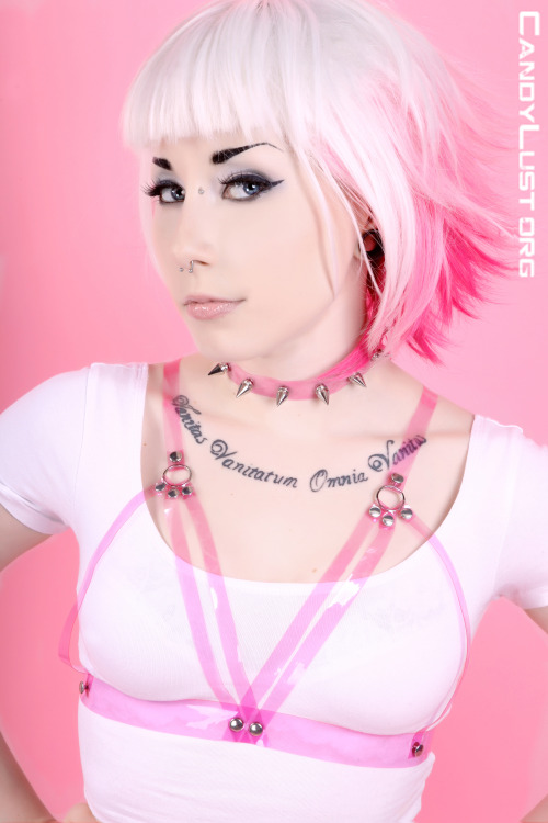 porphyriasuicide:  Lovely clear pvc belt/harness/choker set! It Is Known creations and styling Candylust photography.  <3<3