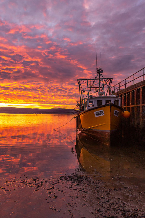 Aberdyfi  |  by Barbara Fuller