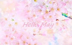 springgette: Hello May ! Please be kind to us &lt;3