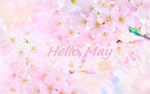springgette: Hello May ! Please be kind to us <3