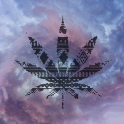 quebecois418:  #marijuana #smokeweed #dope #tribal #wallpaper #thelife #weed #ganja #cannabis #smokesomeweed #smokeandfly #paradise #shit #splift #bong #sativa #indica #kush