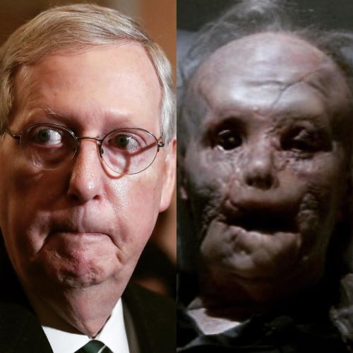 Separated at birth. #MoscowMitch #turtle  https://www.instagram.com/p/B8BEPPmA8Hs/?igshid=1pyh6pyub5sxf