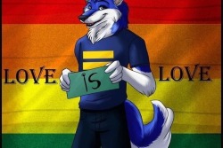 rainbowpridestallion:Gay furry pride!!!