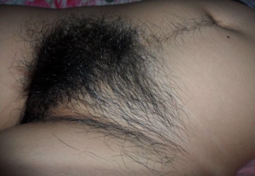 http://bellyhairandracingstripes.tumblr.com/post/155619712166