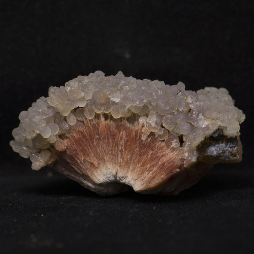 vugnasmineralblog:Scolecite With ChalcedonySangamner, Ahmednagar, Maharashtra, India